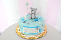 [nr: 2018 ] Tort  z misiem